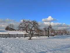 P1330516