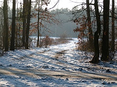 P1310467