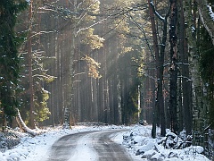 P1310609