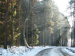 P1310611
