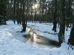 P1310616