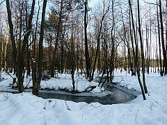 P1310617