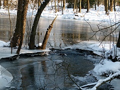 P1310621