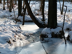 P1310632