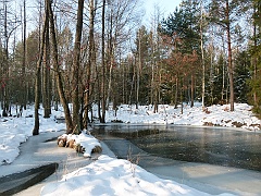 P1310634