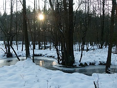 P1310650