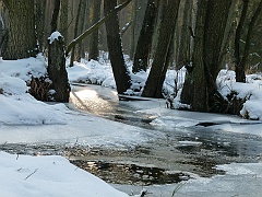 P1310653