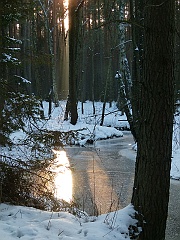 P1310664