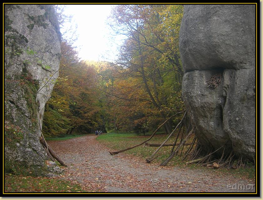 Następne Zdjęcie