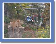 ZOO nas zachwycio