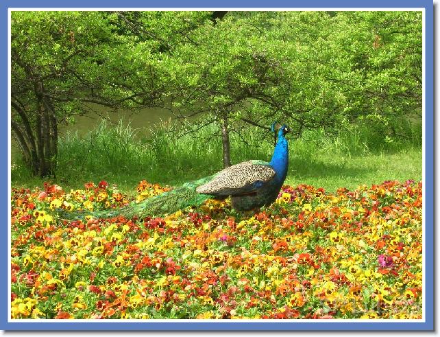 Nast�pne zdj�cie