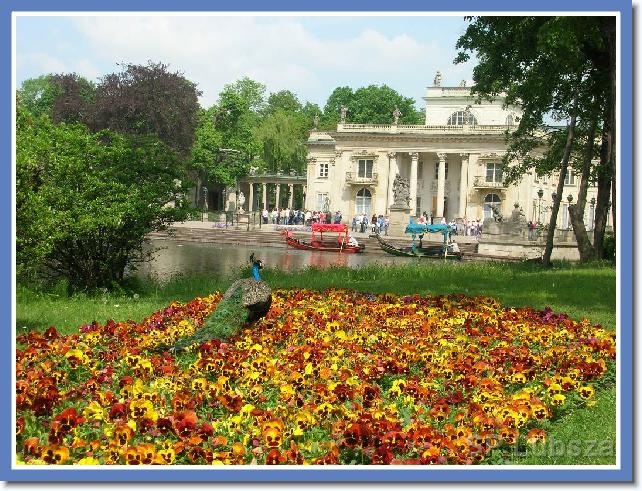 Nast�pne zdj�cie