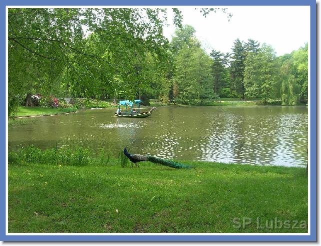 Nast�pne zdj�cie