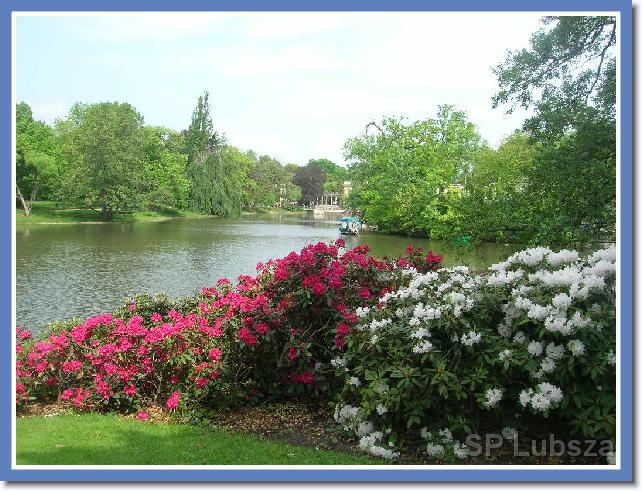 Nast�pne zdj�cie