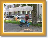 mieci s wywoone na taczkach